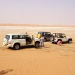Tag Along