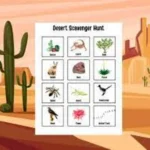 Treasure Hunts