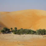 DSC04120 - Rub Alkhali Desert Tourism L.L.C liwa oasis